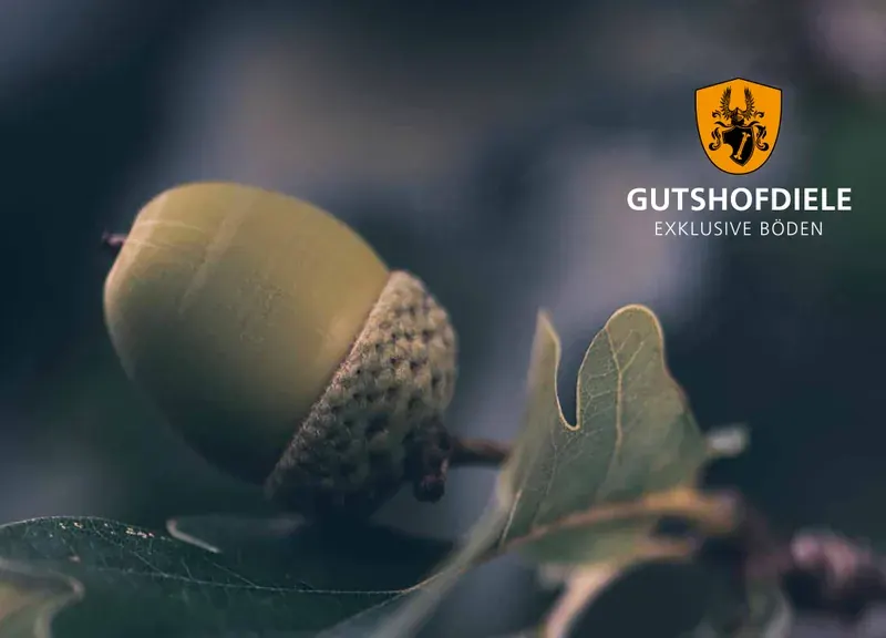 Titelseite Prospekt Gutshofdiele